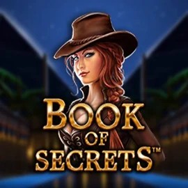 Play the Book of Secrets slot by SYNOT Games on Book of Slots